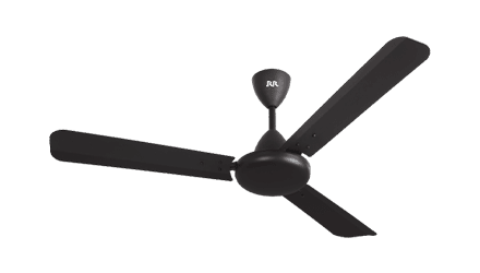 fans preview