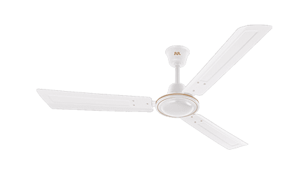 fans preview
