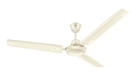 fans preview
