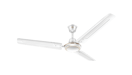 fans preview
