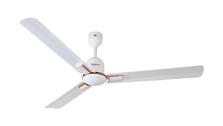 fans preview