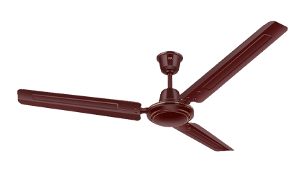 fans preview