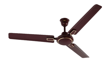 fans preview