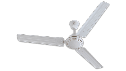 fans preview
