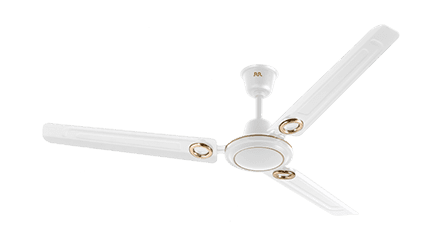 fans preview