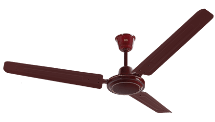 fans preview