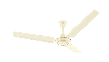 fans preview