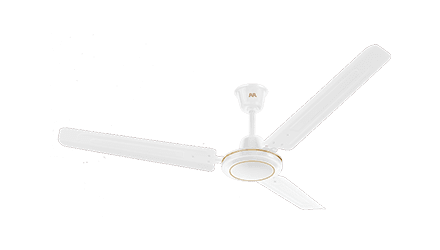 fans preview