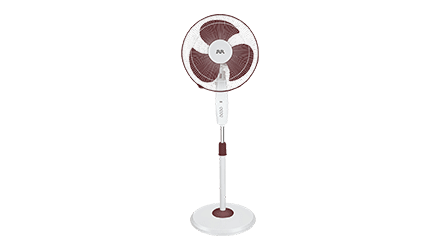 fans preview