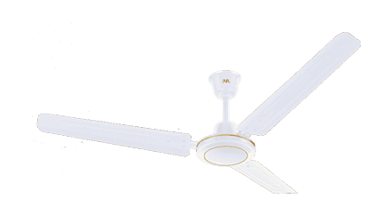 fans preview