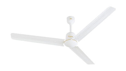 fans preview