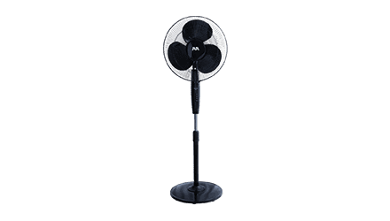 fans preview