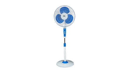 fans preview