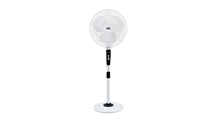 fans preview
