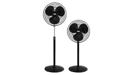 fans preview