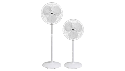 fans preview