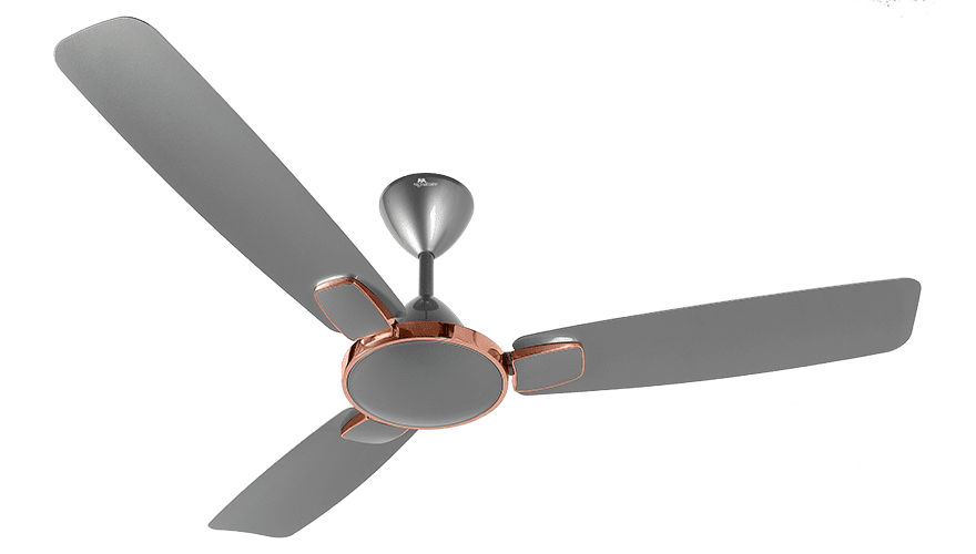 fans preview