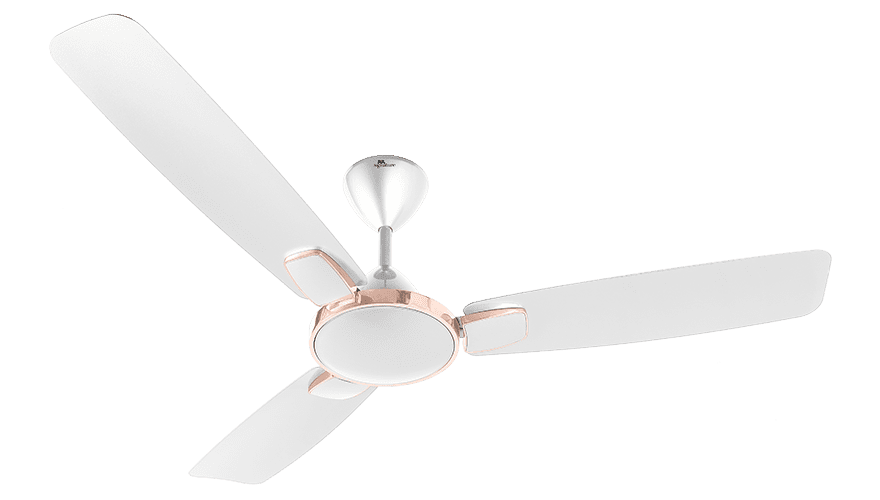 fans preview