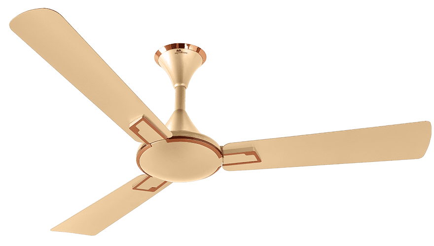 fans preview