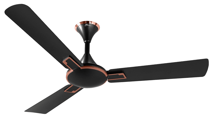 fans preview