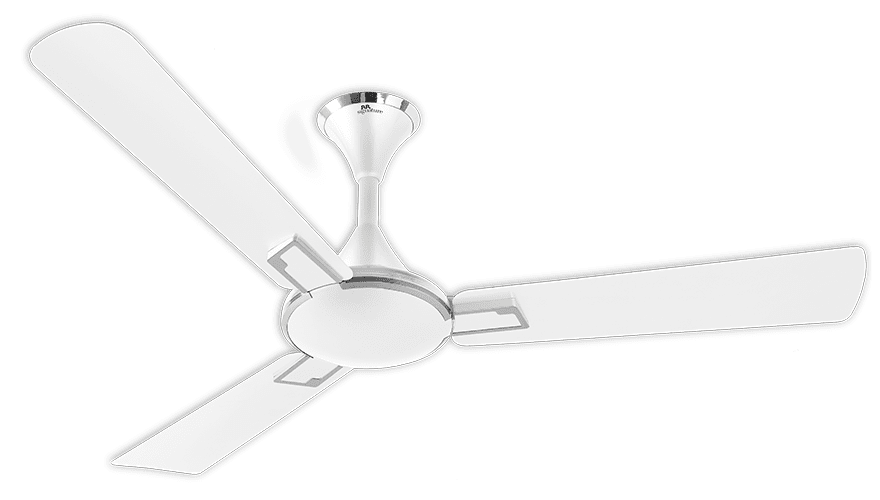 fans preview