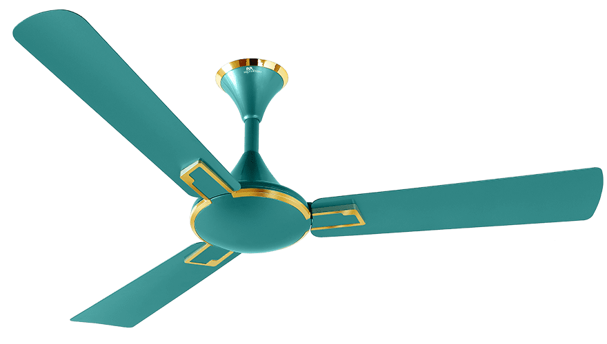 fans preview