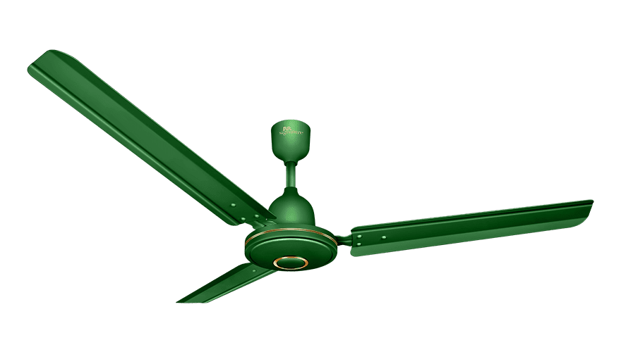 fans preview