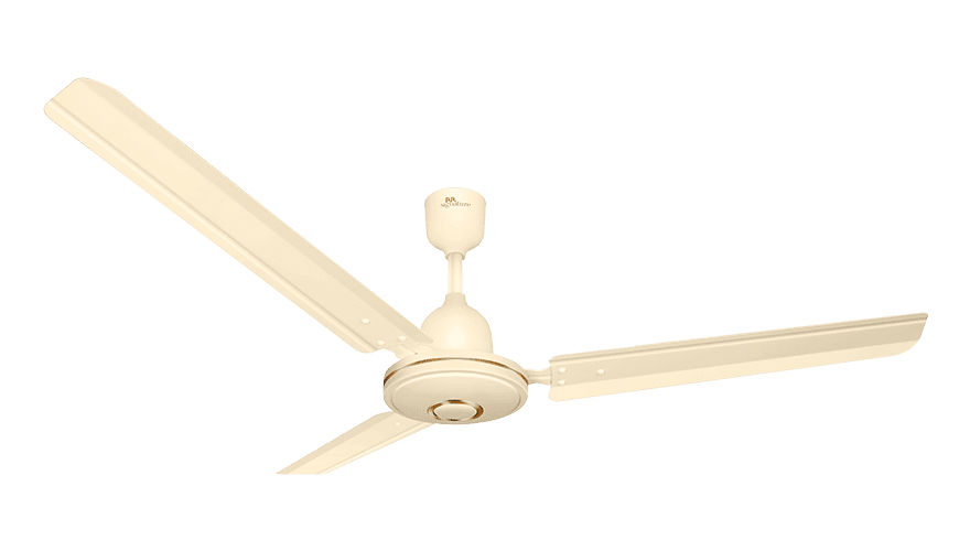 fans preview