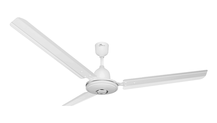 fans preview