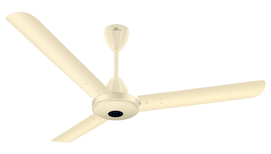 fans preview