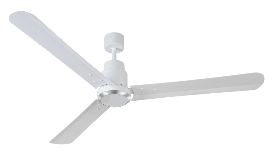 fans preview