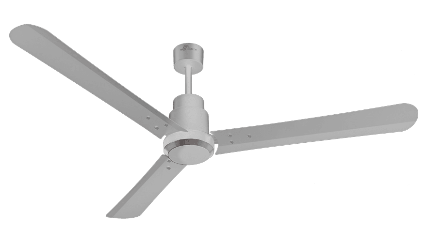 fans preview