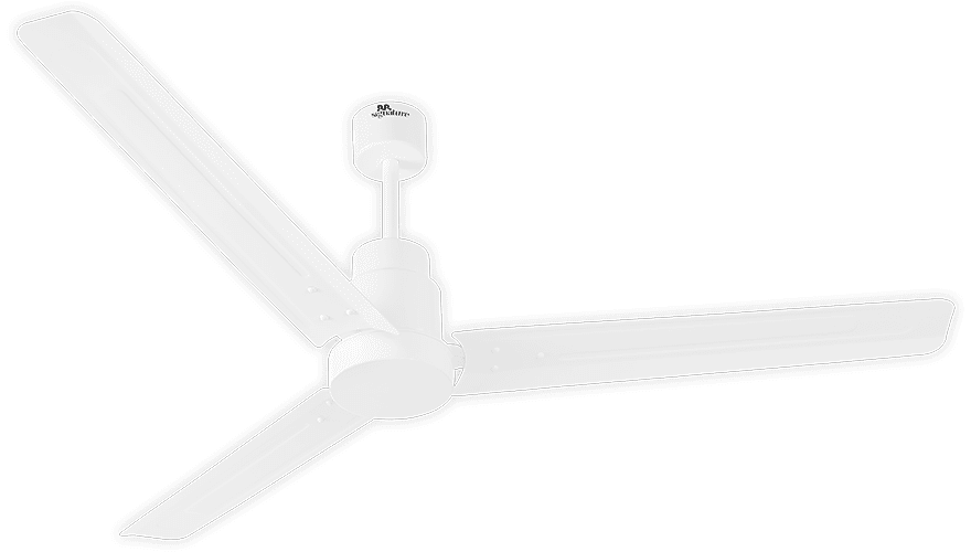 fans preview