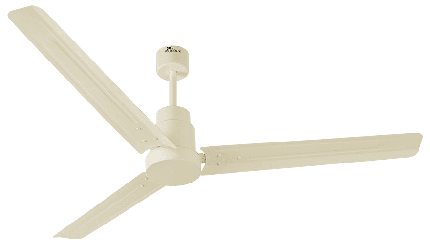 fans preview