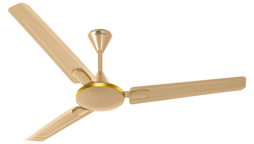 fans preview