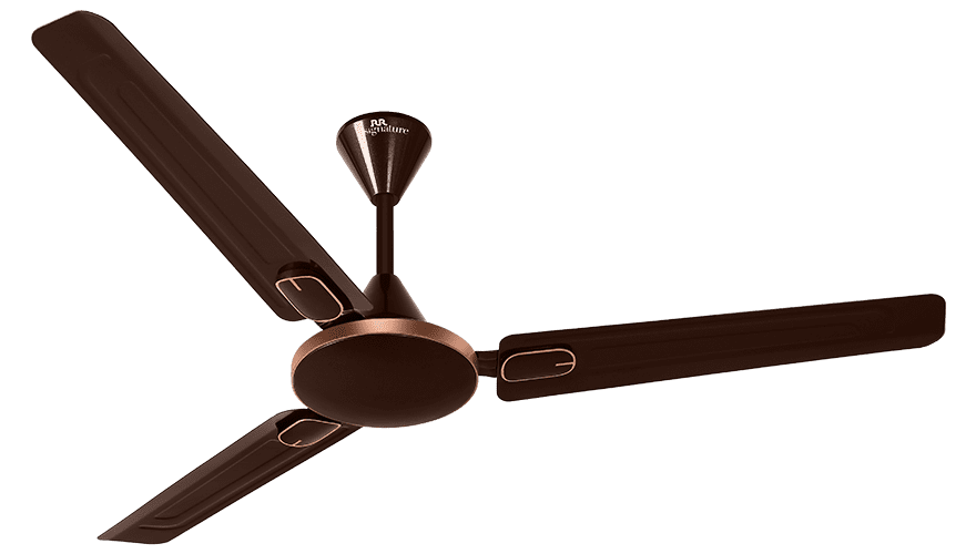fans preview