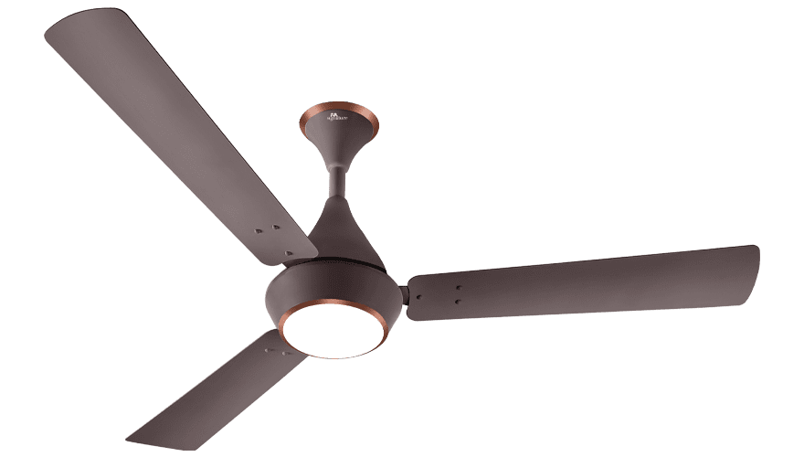 fans preview