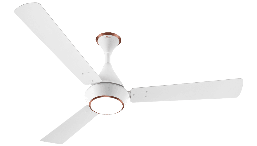 fans preview