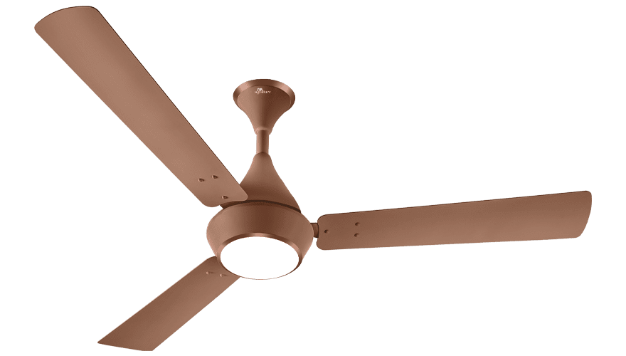 fans preview