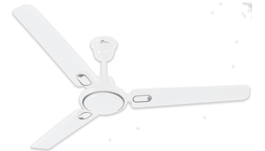 fans preview