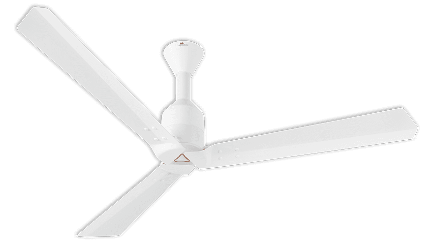 fans preview