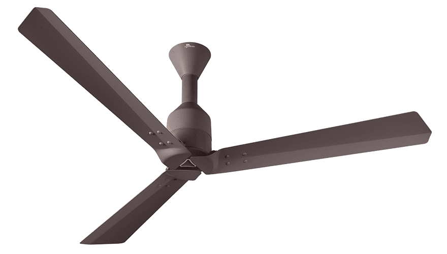 fans preview