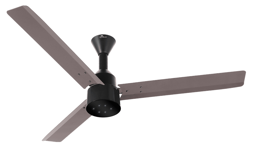 fans preview