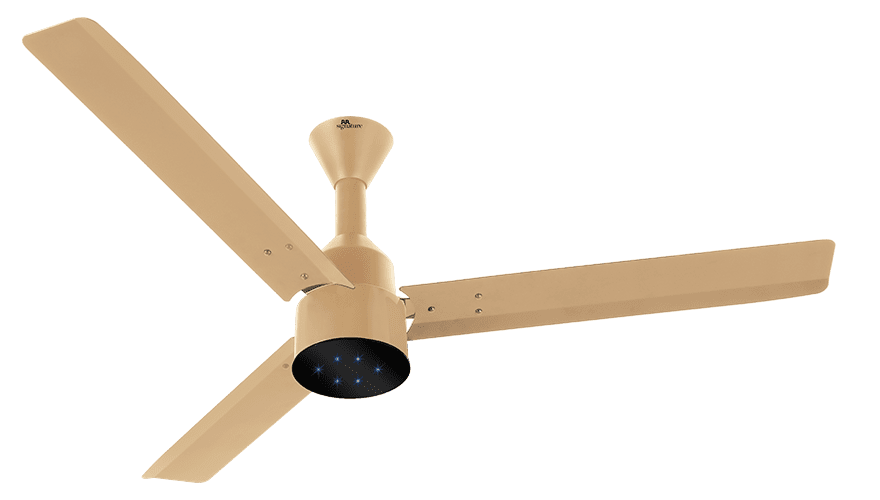 fans preview