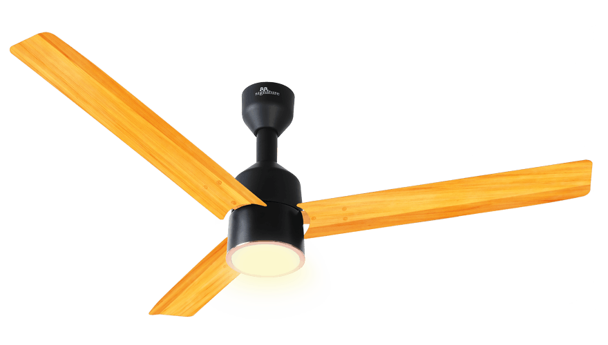 fans preview