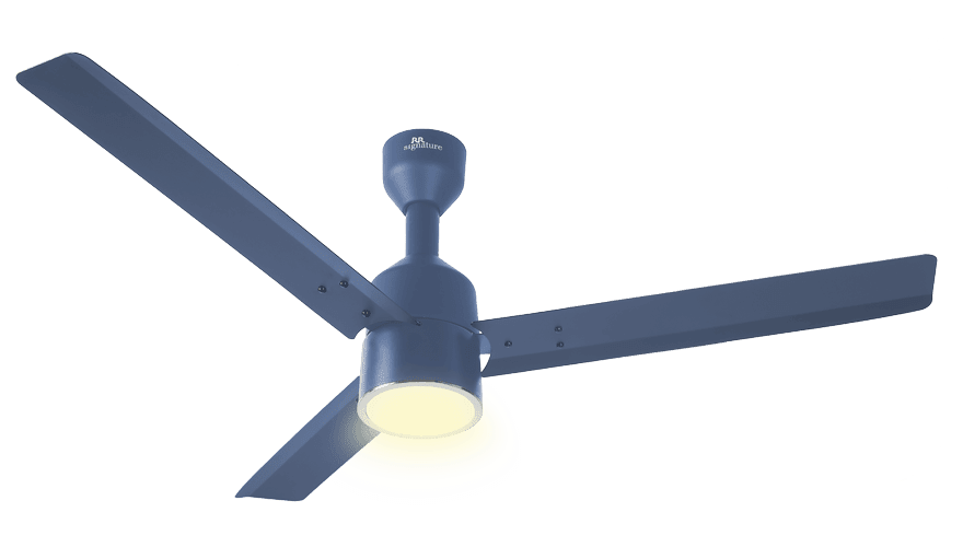 fans preview