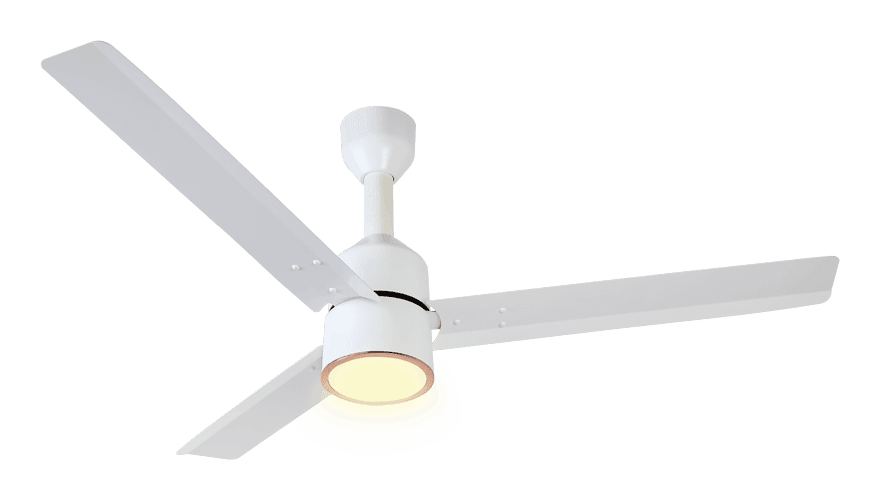 fans preview