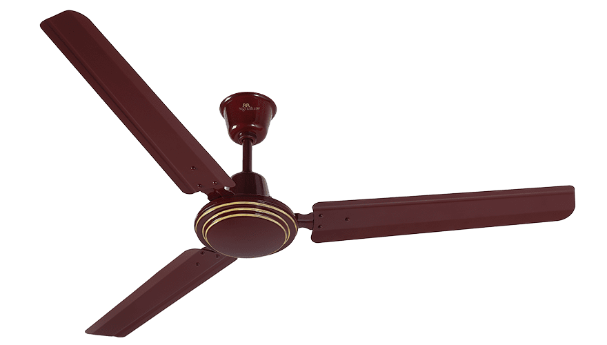 fans preview