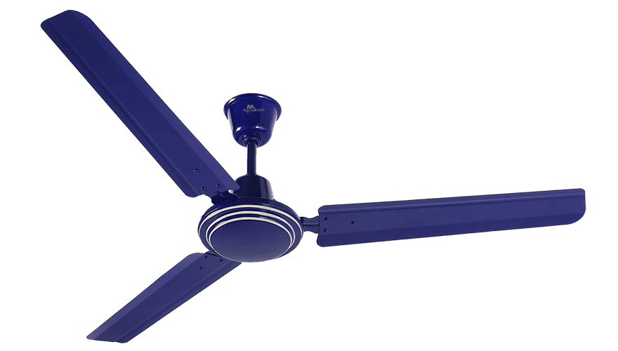 fans preview