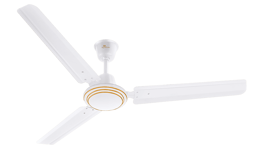 fans preview